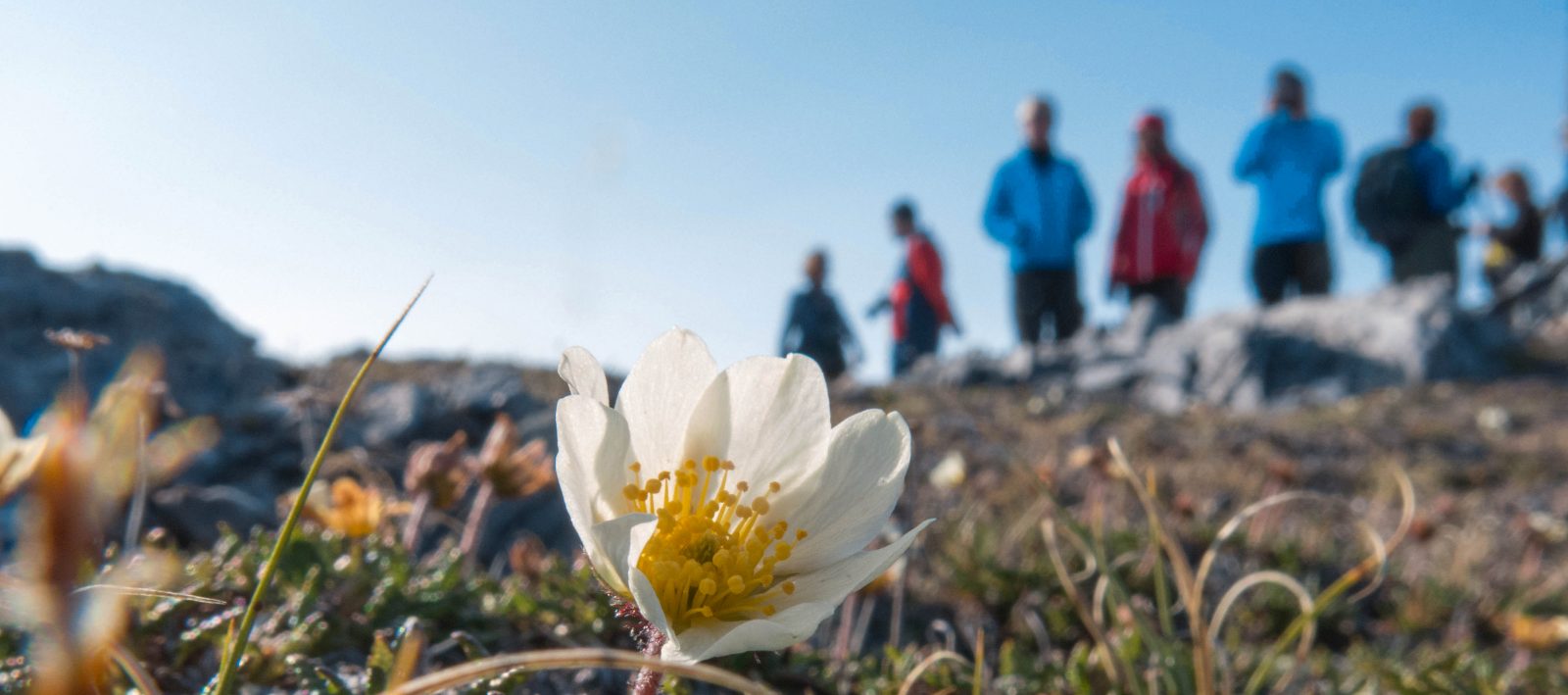 svalbard_expedition_Copyright_Annette Scheepstra