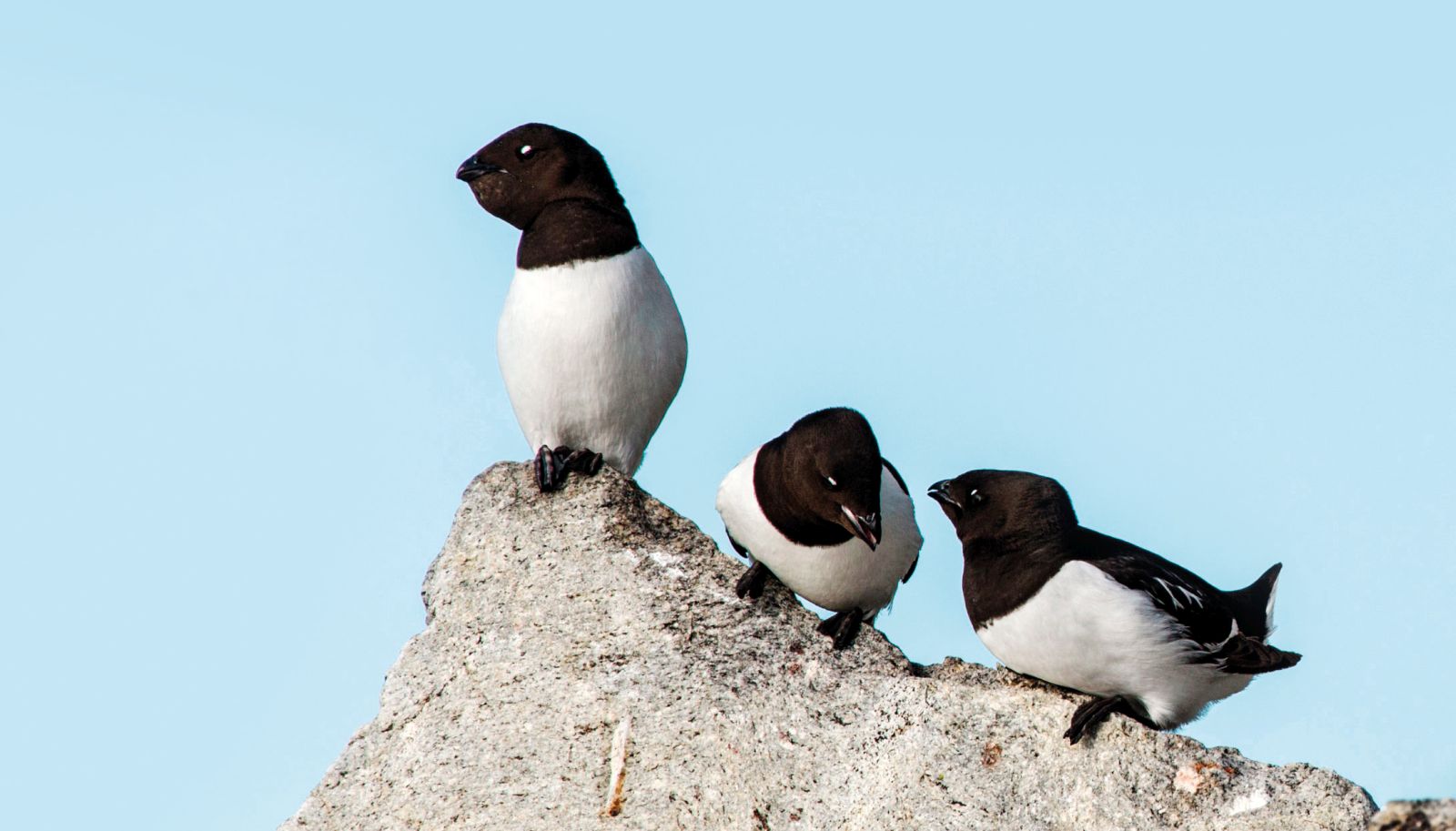 SJOVEIEIN_Svalbard_Adventure_Copyright_Kerstin Langenberger_teasertext1