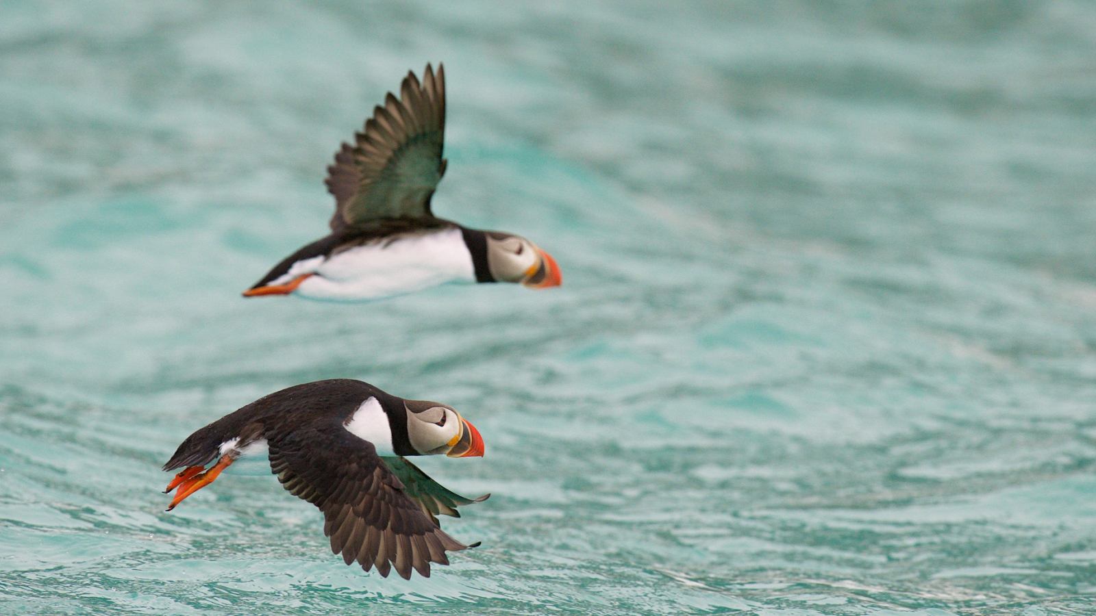 SJOVEIEN_Svalbard_Adventure_Copyright_PolarQuest (1)_reiseverlauf2