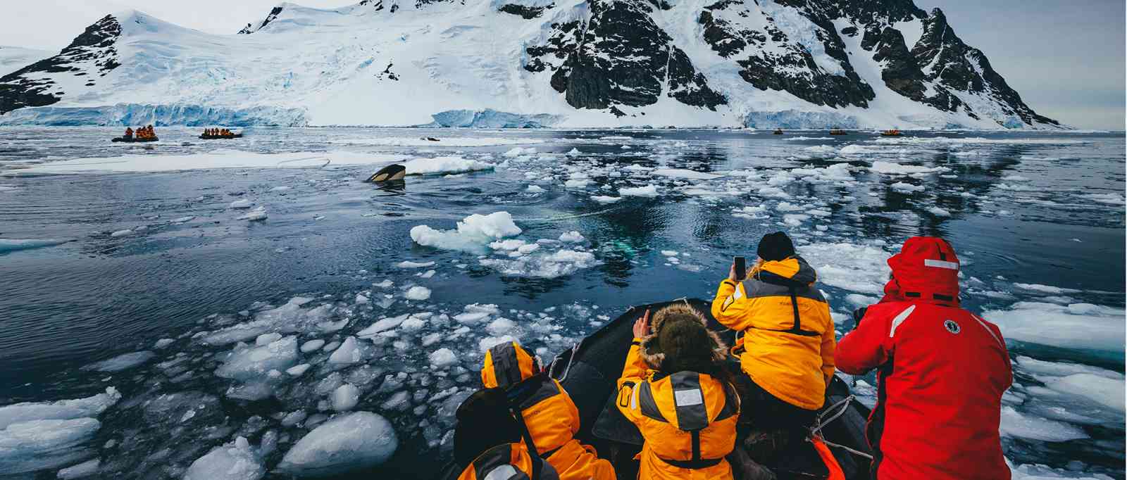 Ultramarine_QuarkExpeditions_Bestof-DavidMerronIMG_9059_edit_reisevrlauf1