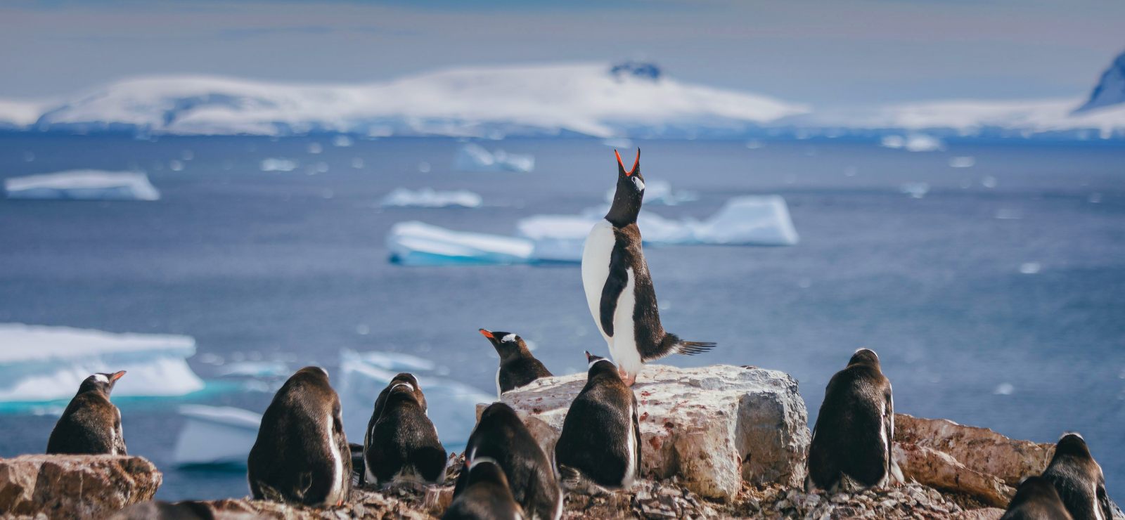 ULT_Epische_QuarkExpeditions__21A5235-DavidMerron_teasertext2