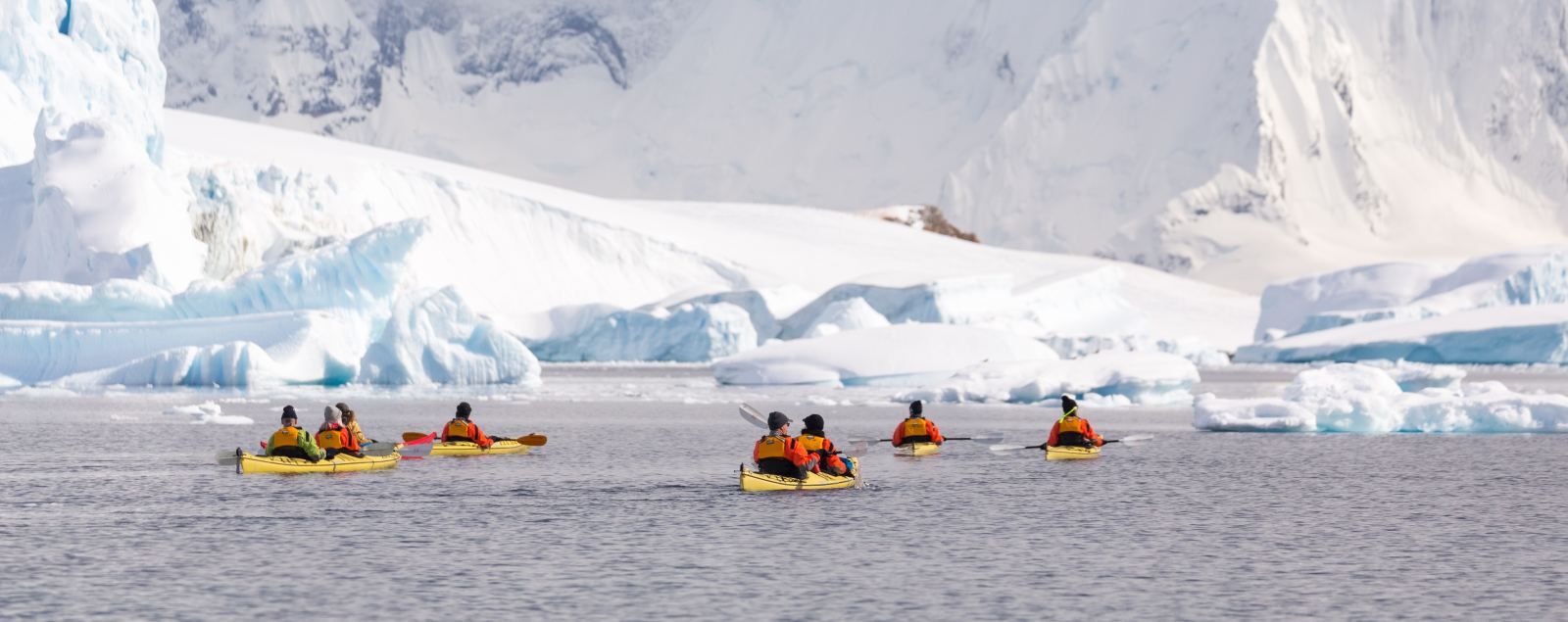 ULT_sea_kayakers_cuverville_island_AcaciaJohnson_17_slider3