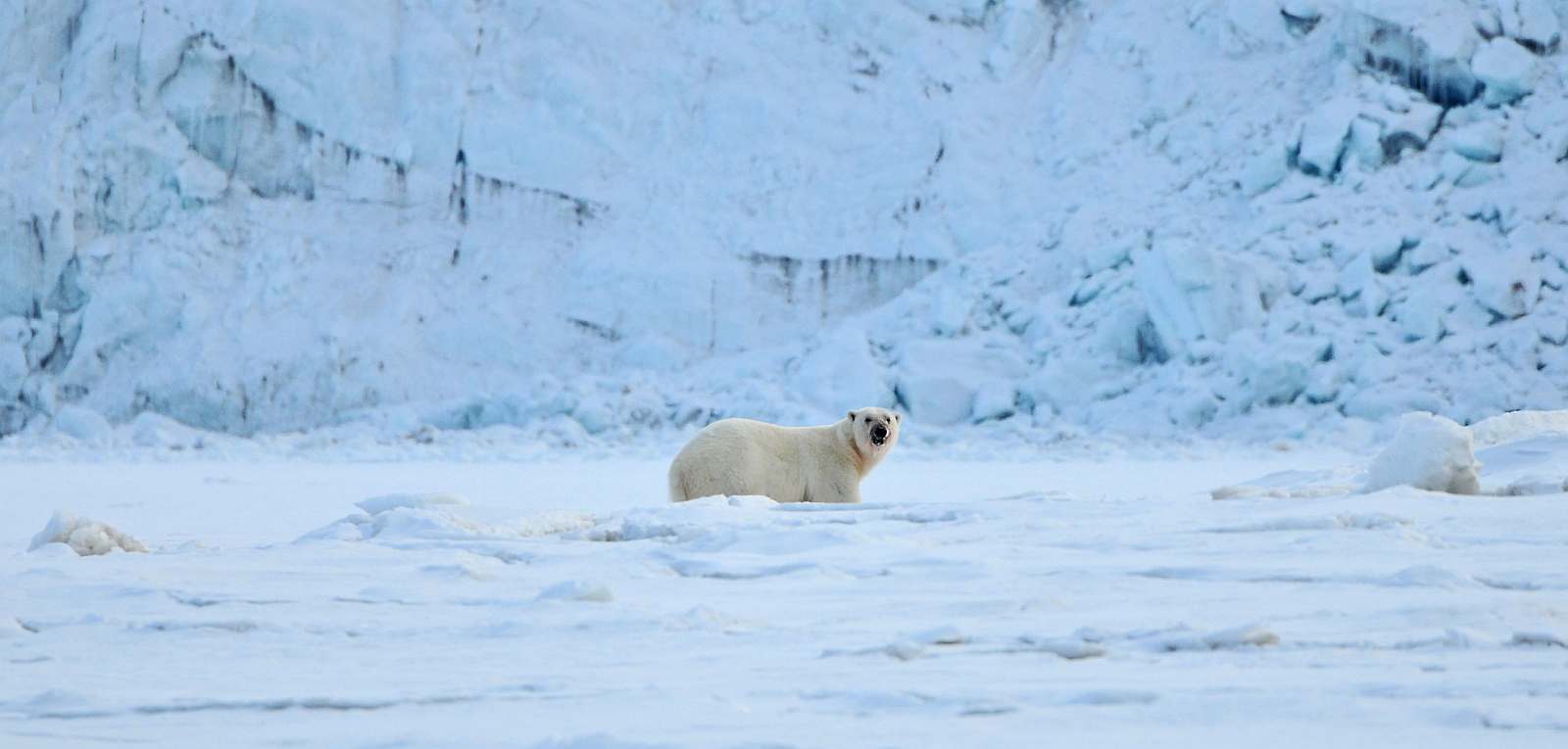 Spitzbergen_Peter_DSC_0331 B PS red_slider