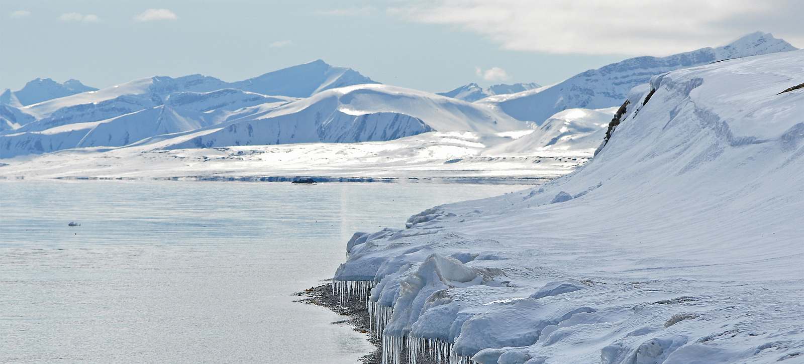 Spitzbergen_Peter_DSC_0618 B PS red_slider