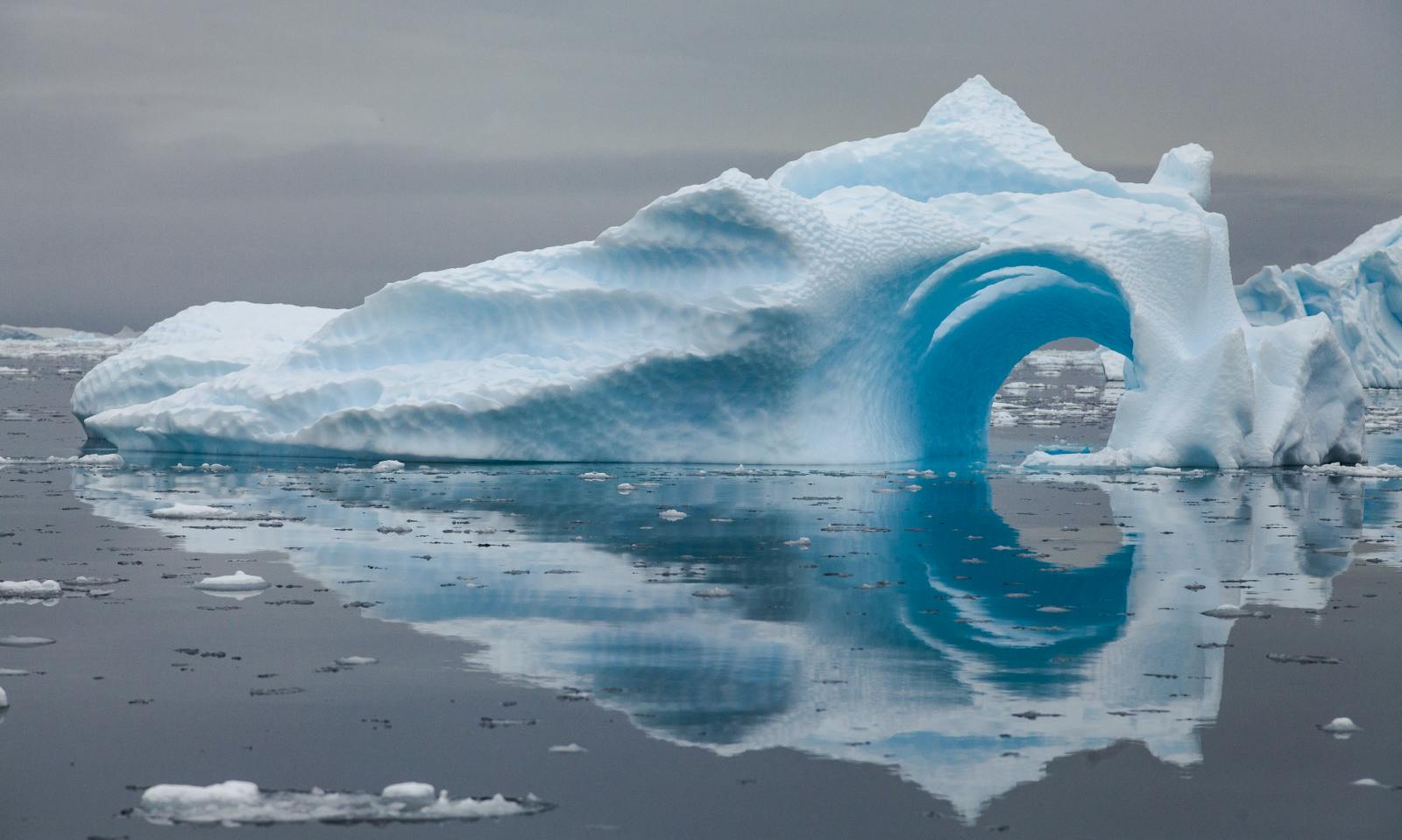 EXP_GAdventures-Antarctica-Neko Harbour-2019-MG_3626_teaser2