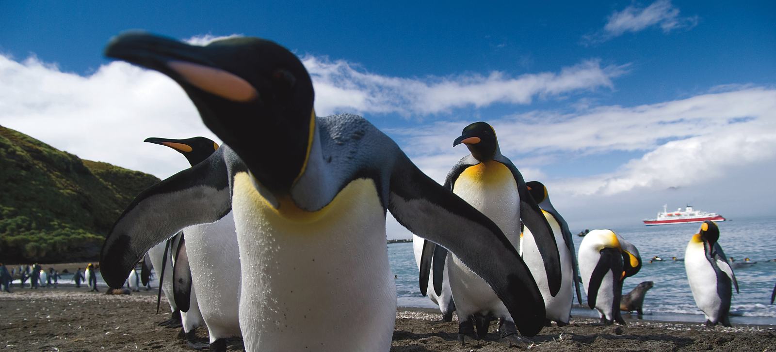 EXP_GAdventures-Antarctica-South Georgia-2010-IGP1312_teaser1