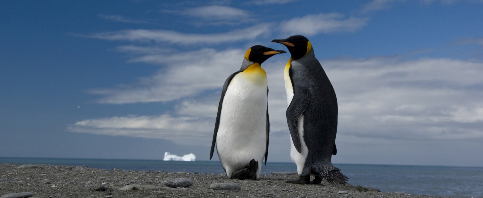 EXP_GAdventures-Antarctica-South Georgia-2010-IGP1441_reiseverlauf5