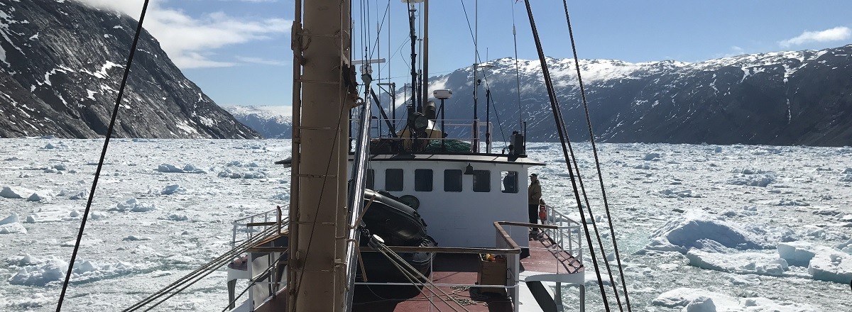 CAPE-RACE-Westgrönland-Niko-Gelpke-IMG_0015BB