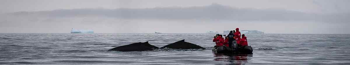 SEA SPIRIT_poseidon_©Anthony_Smith2_small