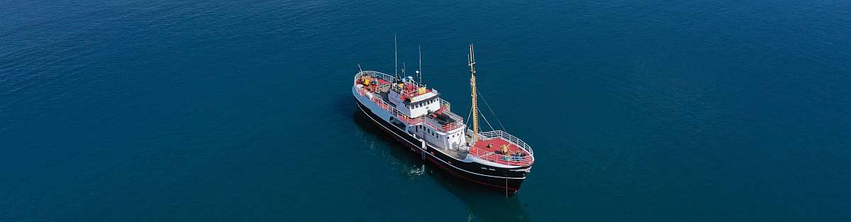 Cape_Race_DJI_0489 Sydbai CAPE RACE 2560x1707 2024-06-15 Andreas Umbreit(1)_small