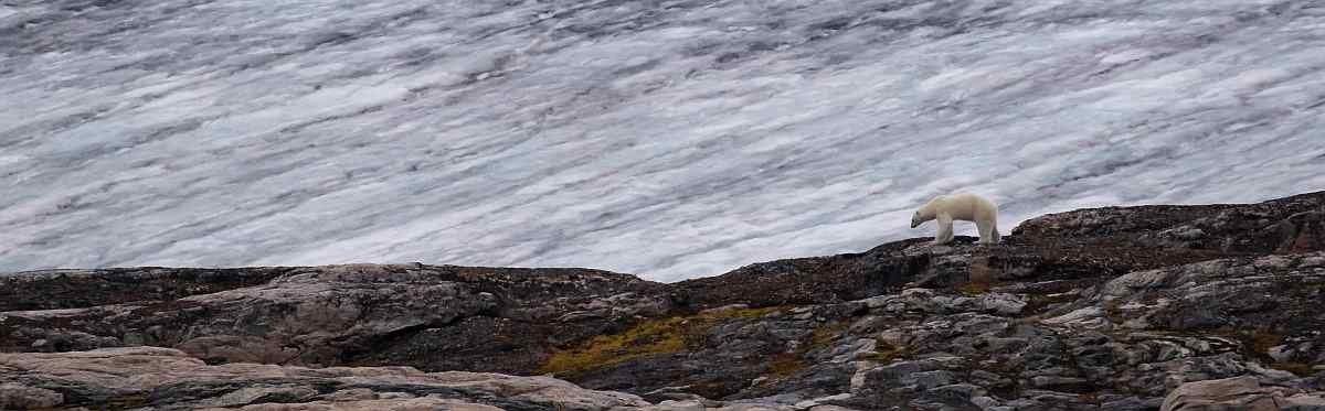 Sjoveien_Copyright_ErikEdvardsson_089_small_polar_quest