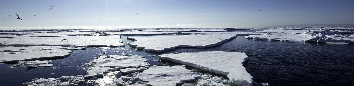 HDS02-26-Arctic pack ice © Sara Jenner - Oceanwide Expeditions_Sara Jenner-small