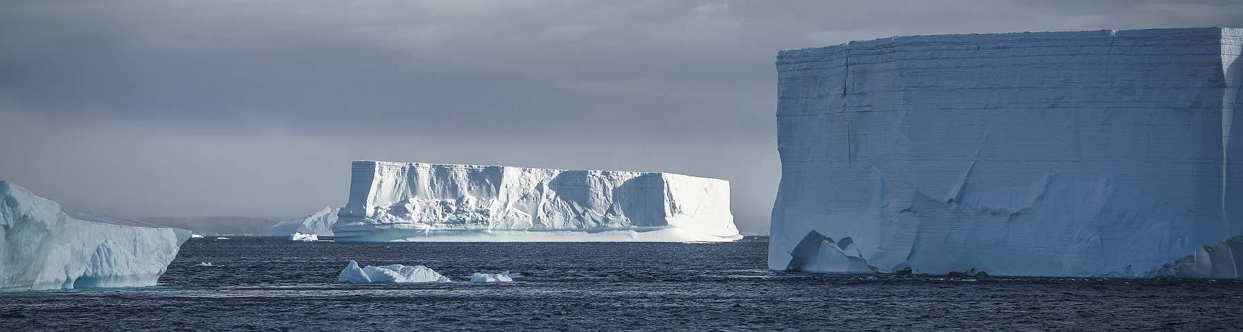HDS28-28-Falklands, South Georgia, Ant Peninsula © Fotografie Dietmar Denger-Oceanwide Expeditions214.jpg_Dietmar Denger-slider.jpg