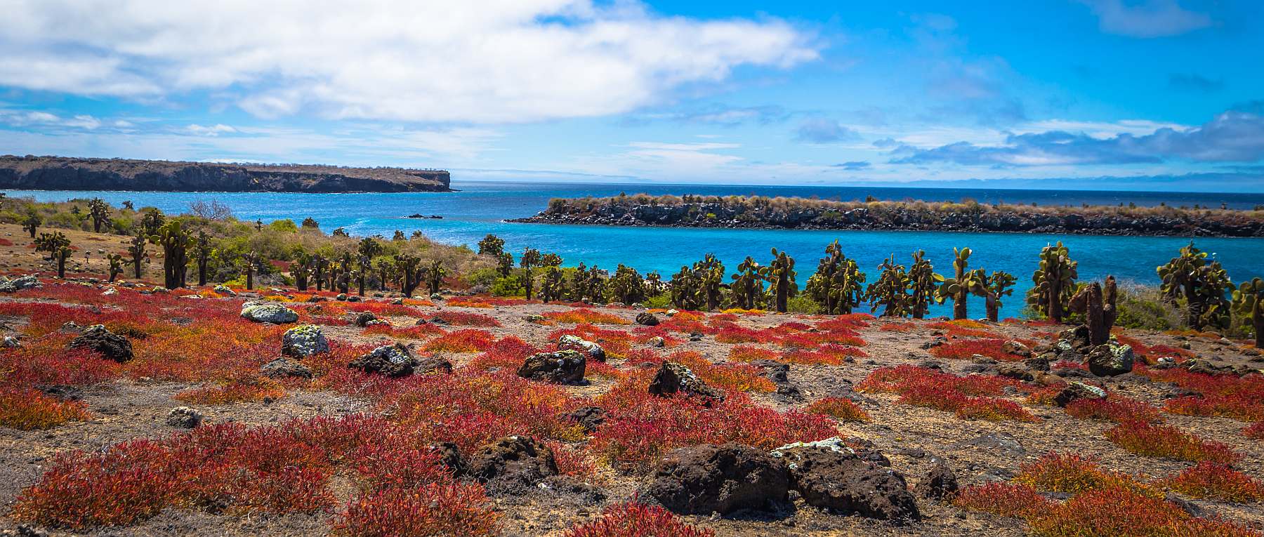 Galapagos: Zentrale, südliche und östliche Inseln | 10 Tage YOLITA - Polar