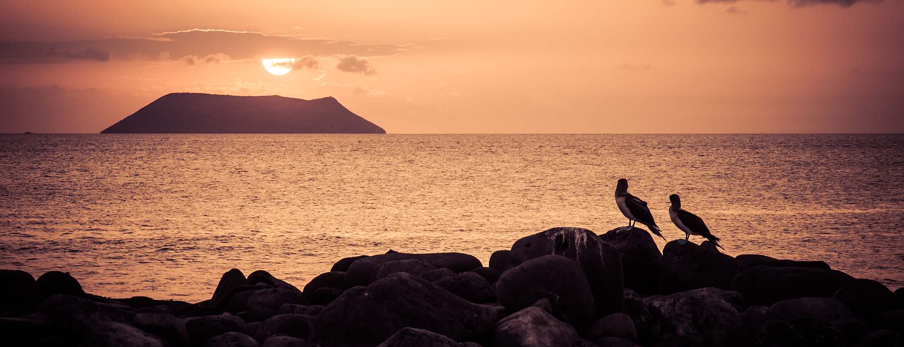 Galapagos: Zentrale, südliche und östliche Inseln | 10 Tage YOLITA - Polar