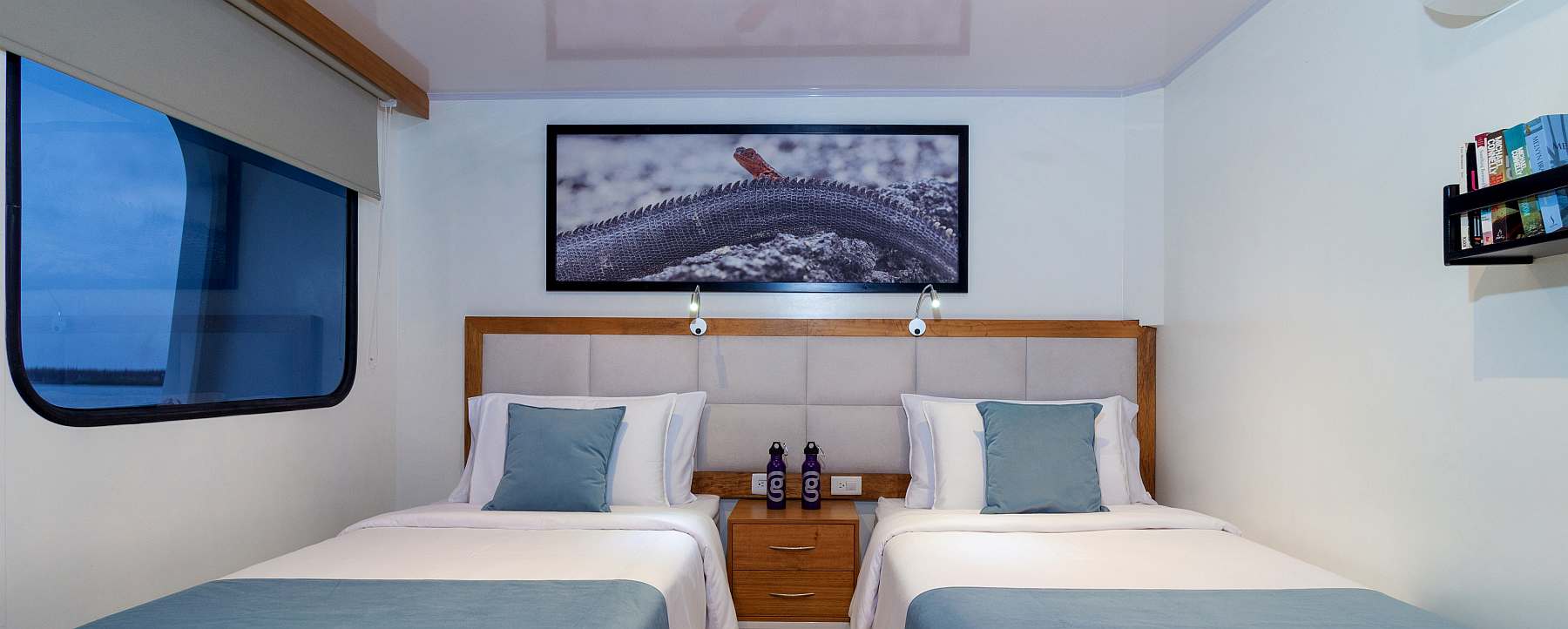 Galápagos - Zentrale und östliche Inseln | 10 Tage REINA SILVIA VOYAGER\