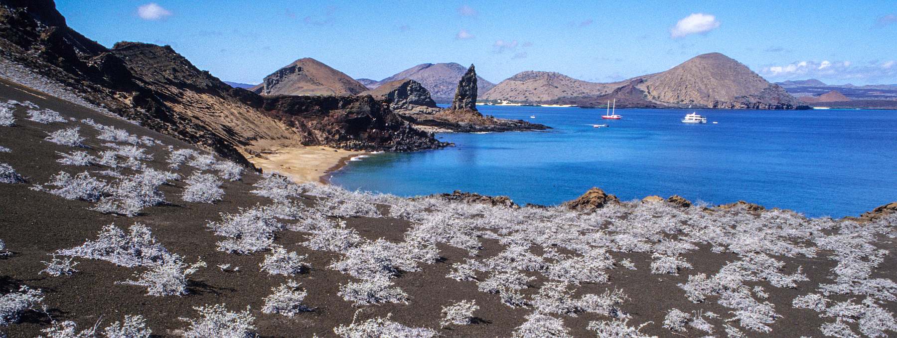 Galápagos - Zentrale und östliche Inseln | 10 Tage REINA SILVIA VOYAGER\