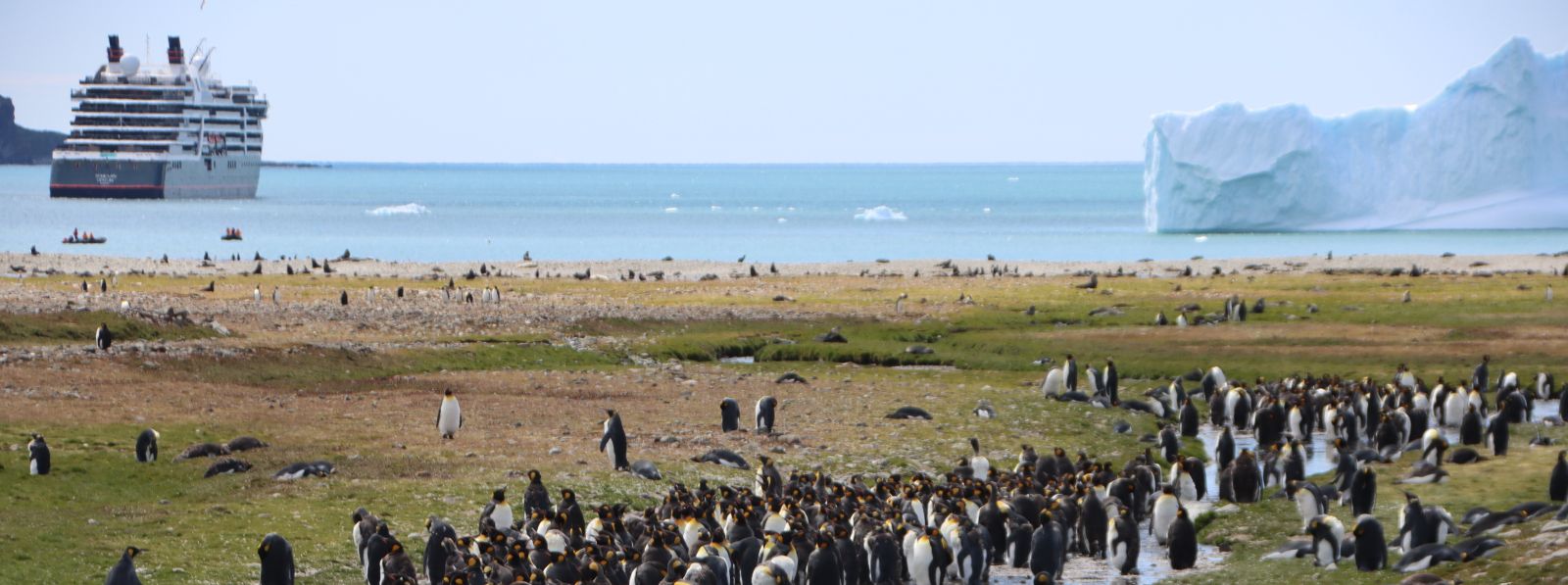 Südgeorgien intensiv - Tierwelt, Geschichte und Gletscherwelten | MS PLANCIUS - Polar