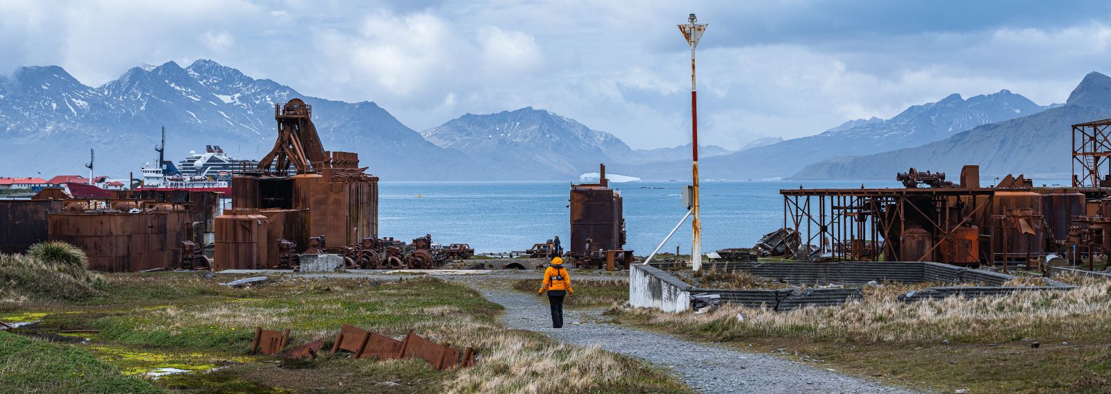 Südgeorgien intensiv - Tierwelt, Geschichte und Gletscherwelten | MS PLANCIUS - Polar