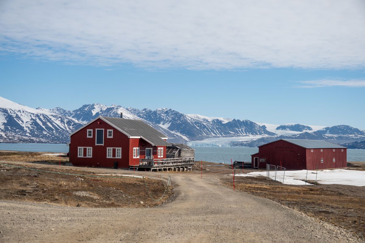 MS HONDIUS | Nordwest Spitzbergen - Polar