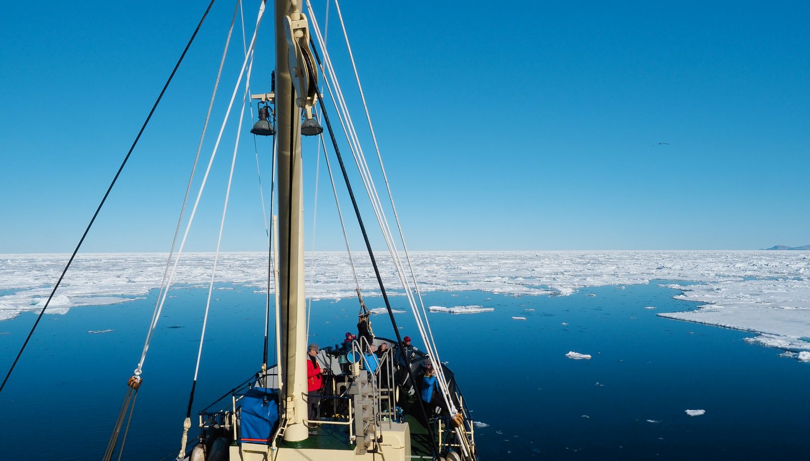STOCKHOLM | 12 Passagiere - Polar