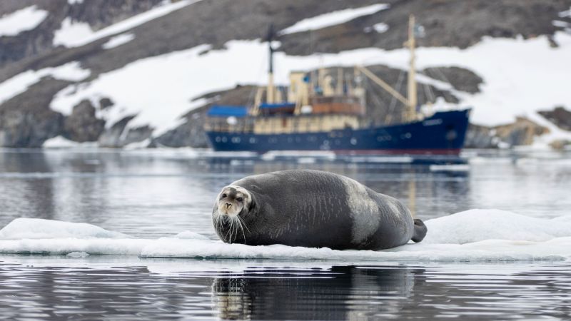 MS STOCKHOLM | Abenteuer Spitzbergen - Polar