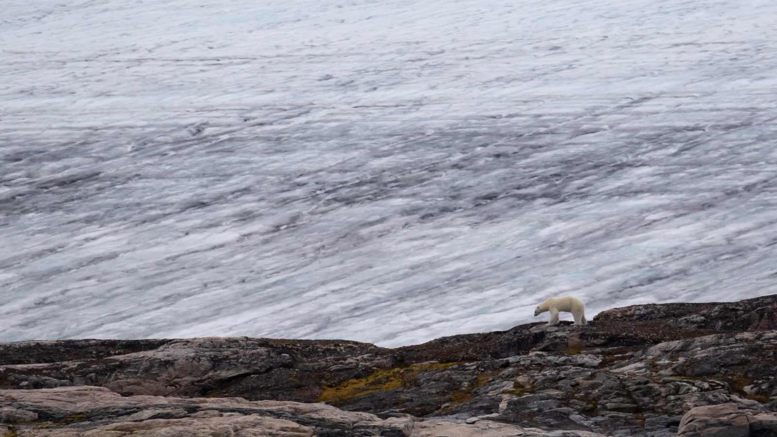 MS STOCKHOLM | Expedition Spitzbergen - Polar