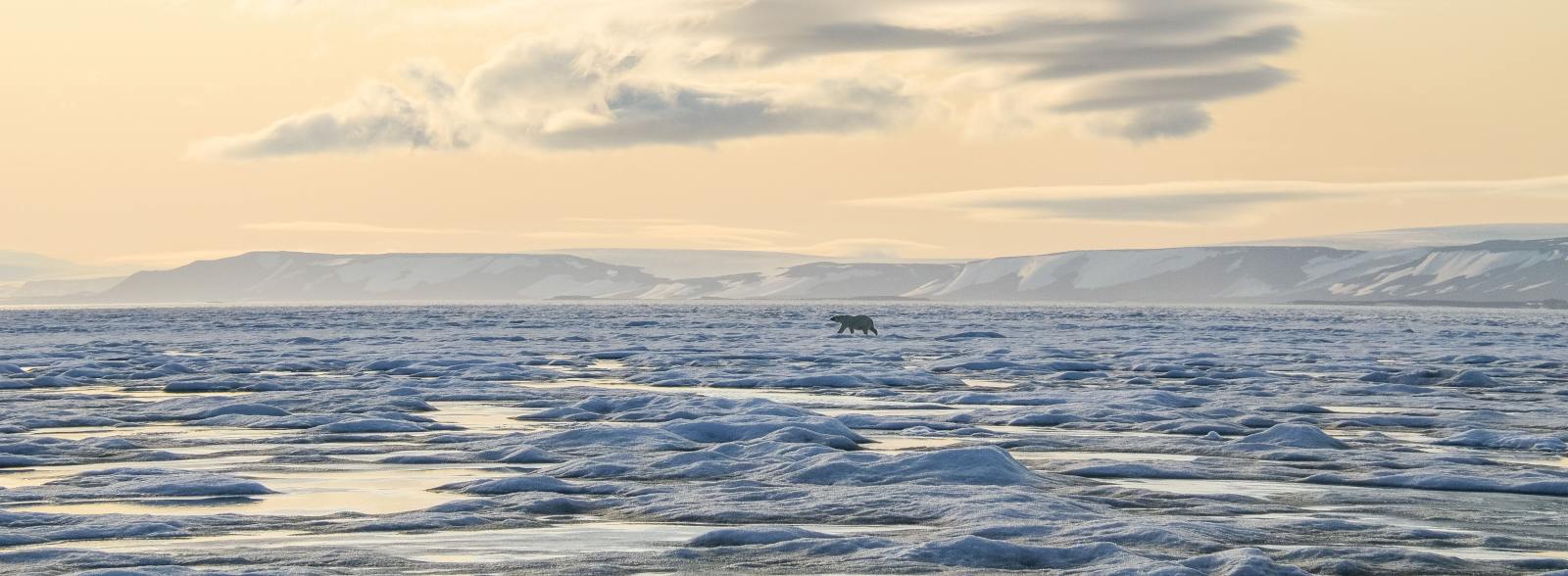 MS SJØVEIEN | Arktische Wildnis, kleine Crew, großes Erlebnis - Polar