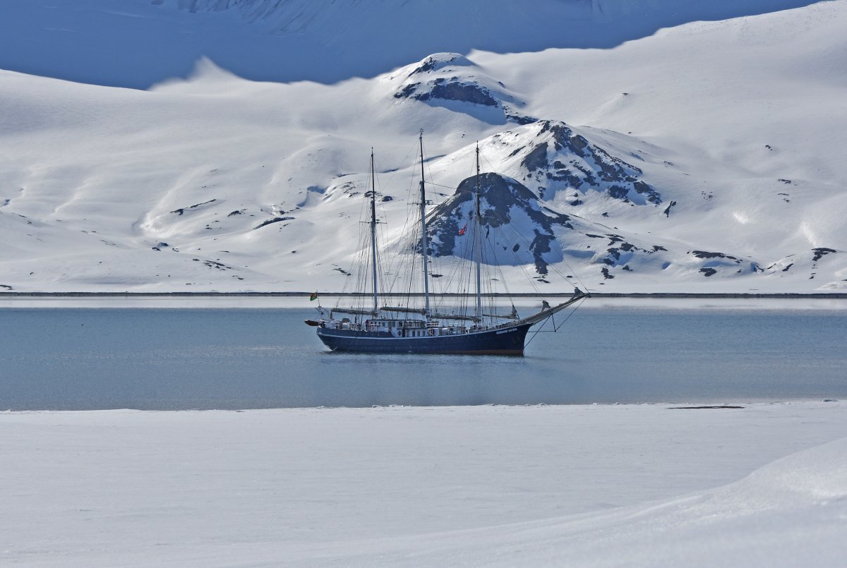 SV REMBRANDT VAN RIJN | Nord-Spitzbergen - Arktischer Sommer - Polar