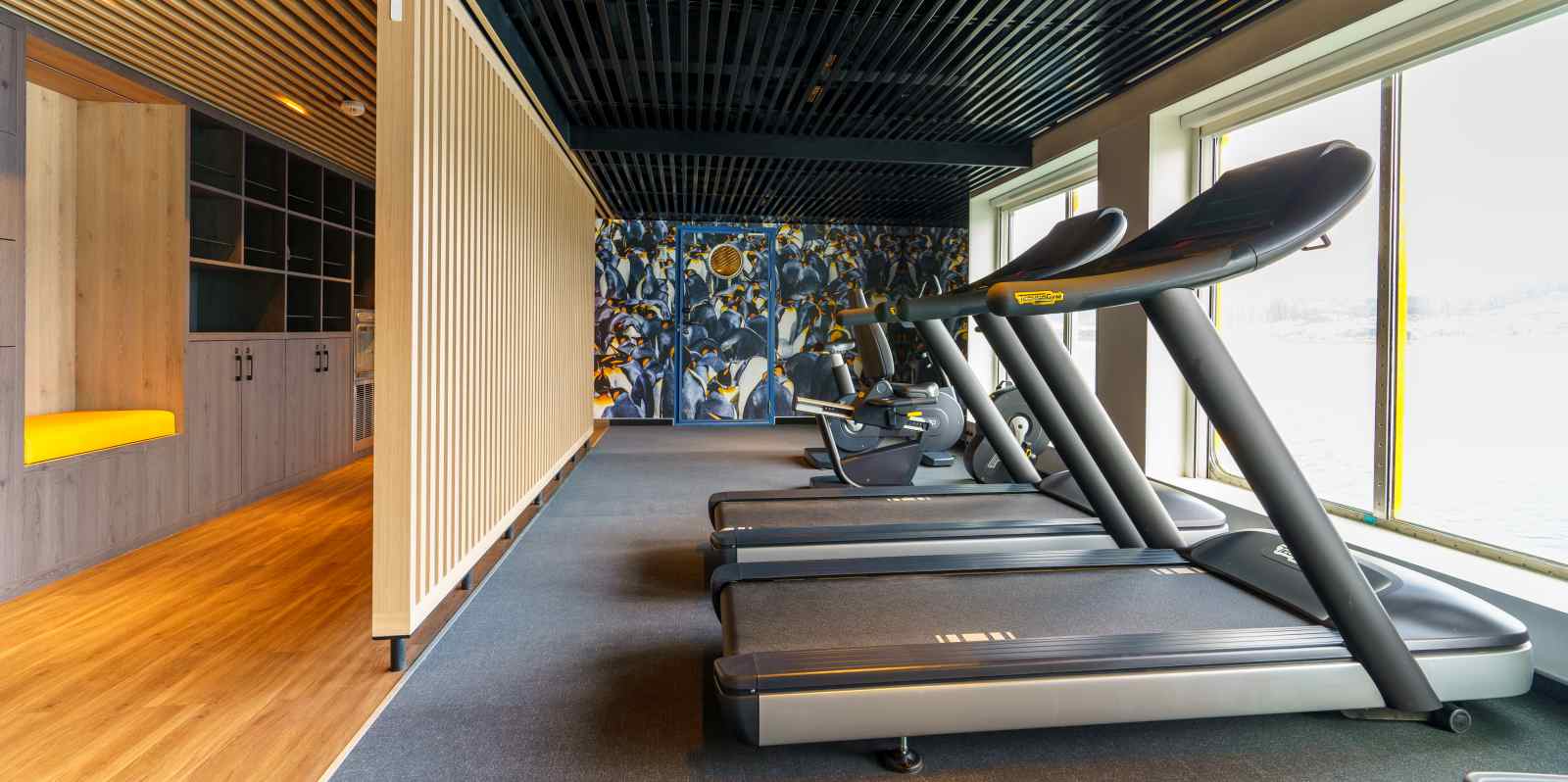 ULTRAMARINE | 199 Passagiere - Polar