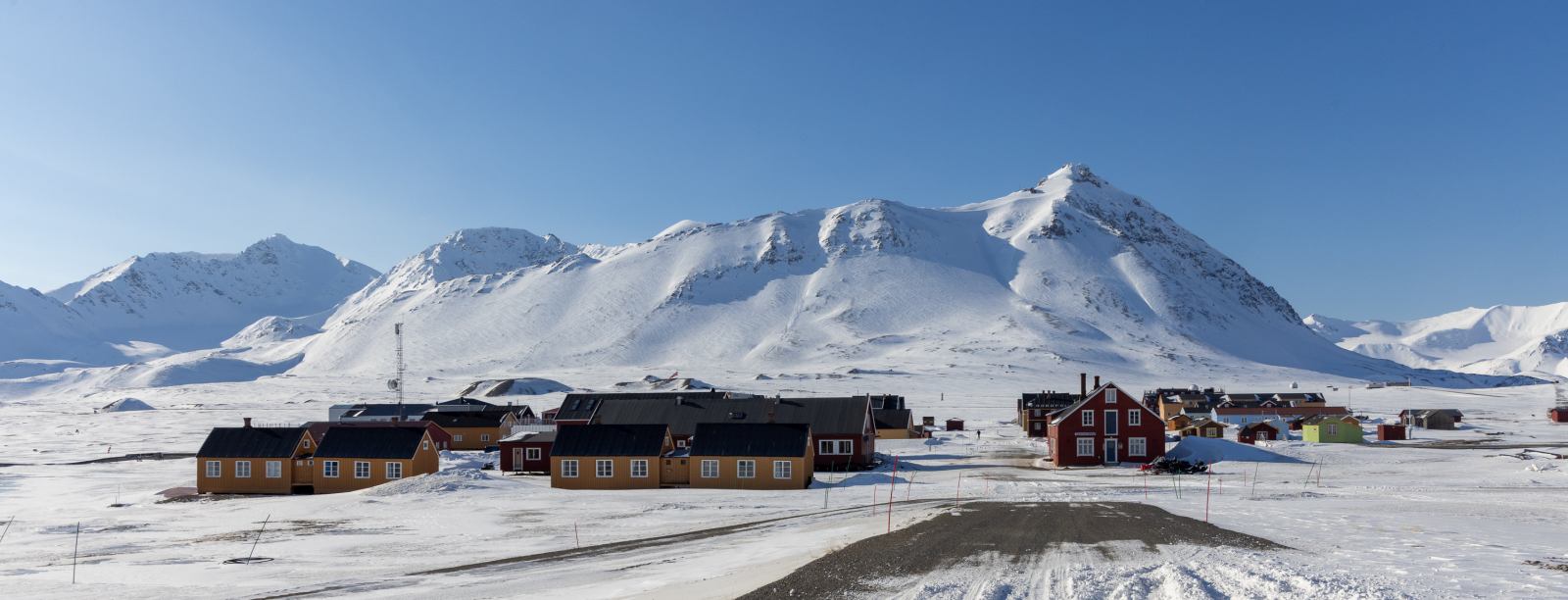 MS EXPEDITION | Im hohen Norden von Spitzbergen zwischen Gletschern, Fjorden und Eisbären - Polar