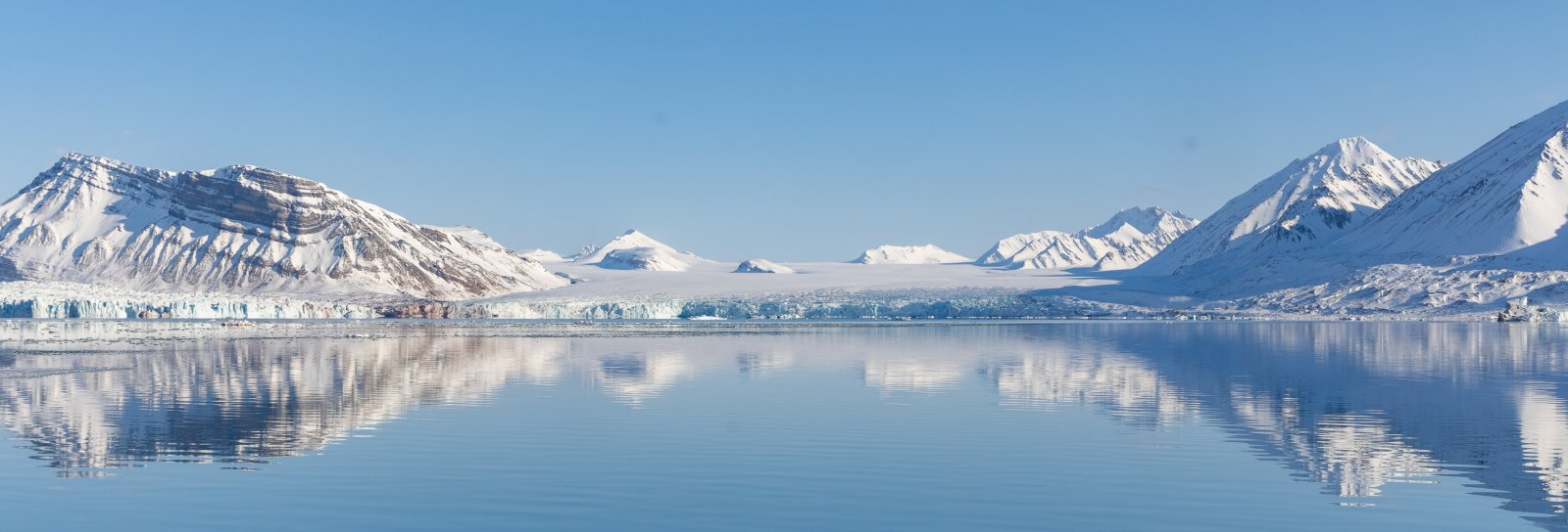 MS EXPEDITION | Höhepunkte der Arktis - Von Island über Ostgrönland nach Spitzbergen - Polar