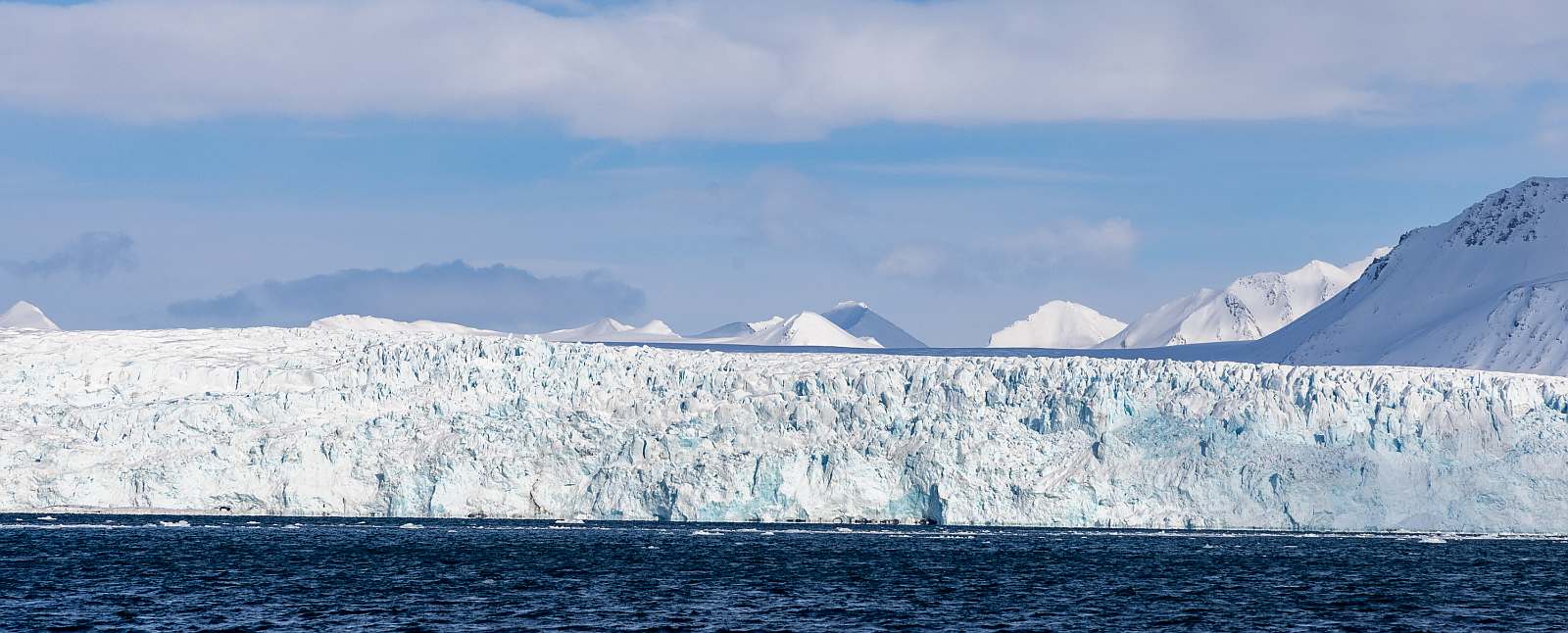MS EXPEDITION | Abenteuer XXL im Reich der Eisbären - Polar