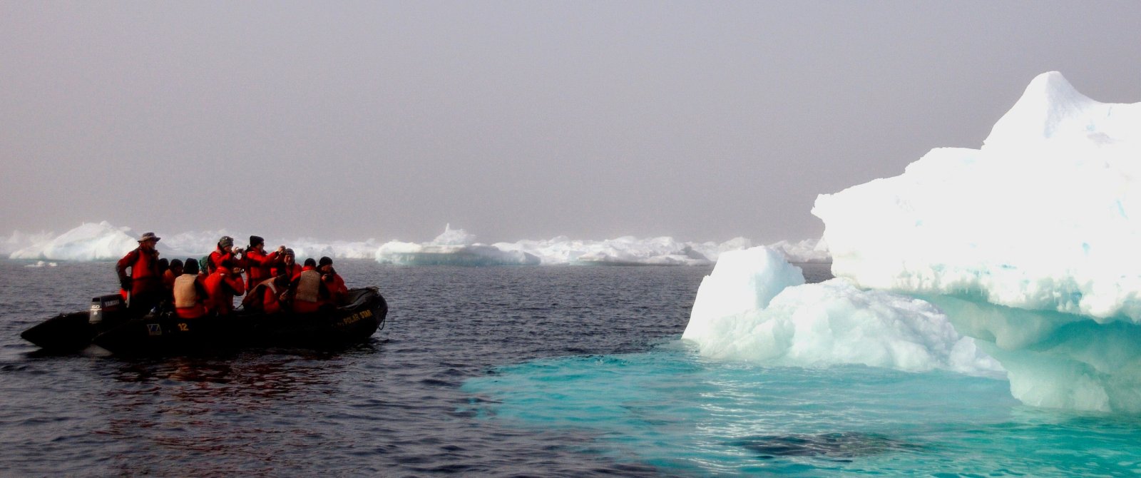 MS EXPEDITION | Höhepunkte der Arktis - Von Island über Ostgrönland nach Spitzbergen - Polar