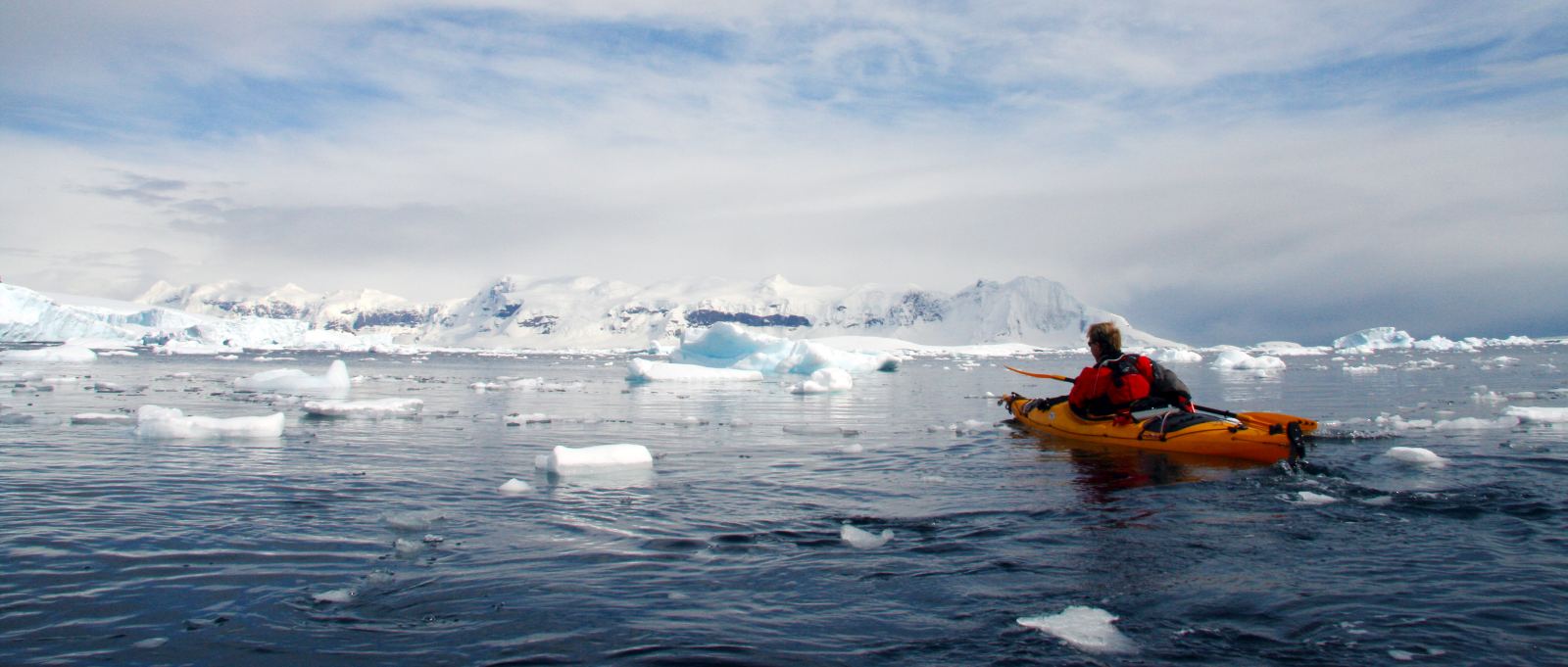 MS EXPEDITION | Klassische Antarktis-Expedition - Zu den Südshetlandinseln und der Antarktischen Halbinsel - Polar