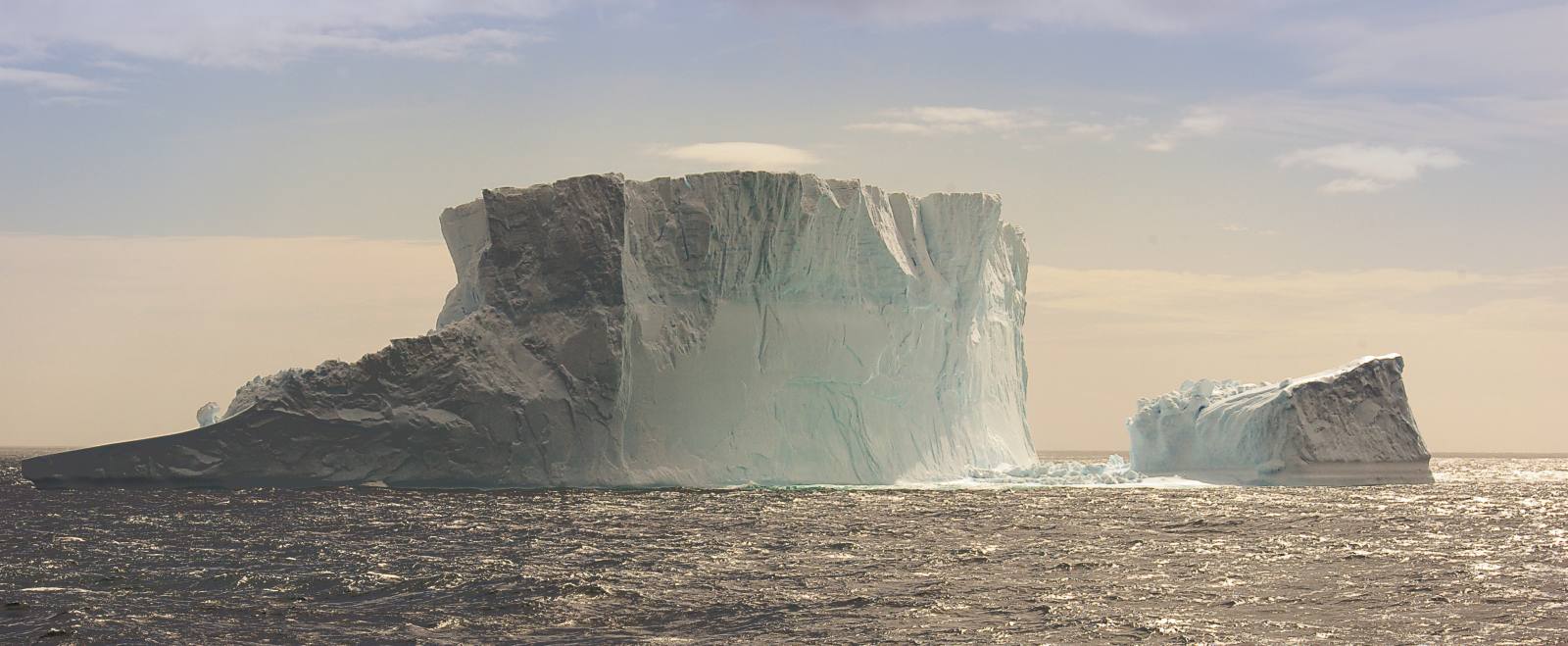 MS EXPEDITION | Klassische Antarktis-Expedition - Zu den Südshetlandinseln und der Antarktischen Halbinsel - Polar