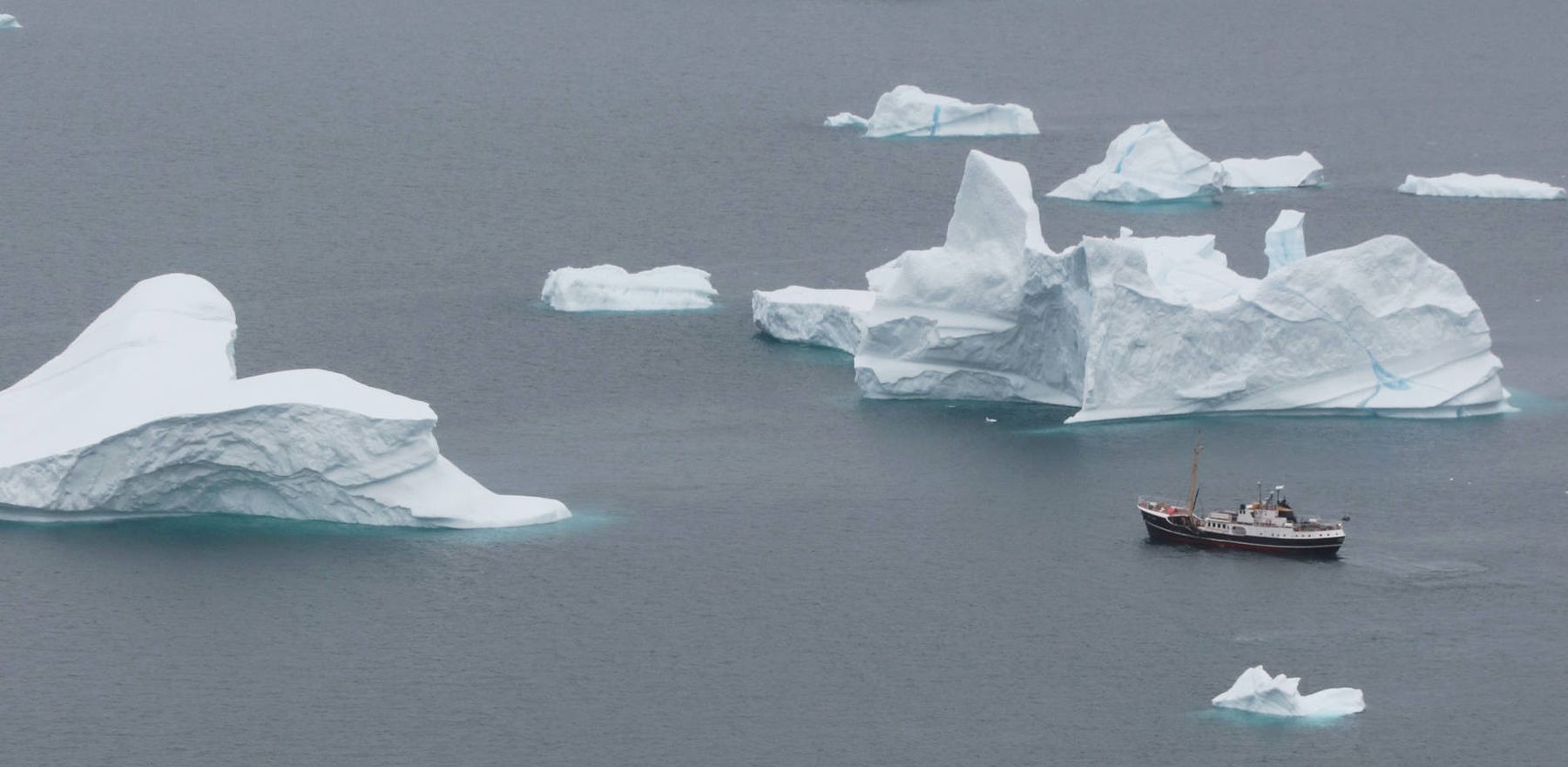 VON DEN EISBERGEN ZU DEN GROSSEN GLETSCHERN | CAPE RACE, 2027 - Polar