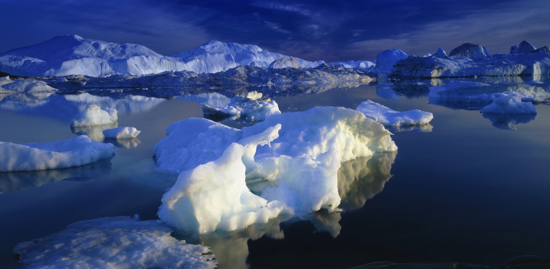 VON DEN EISBERGEN ZU DEN GROSSEN GLETSCHERN | CAPE RACE, 2027 - Polar