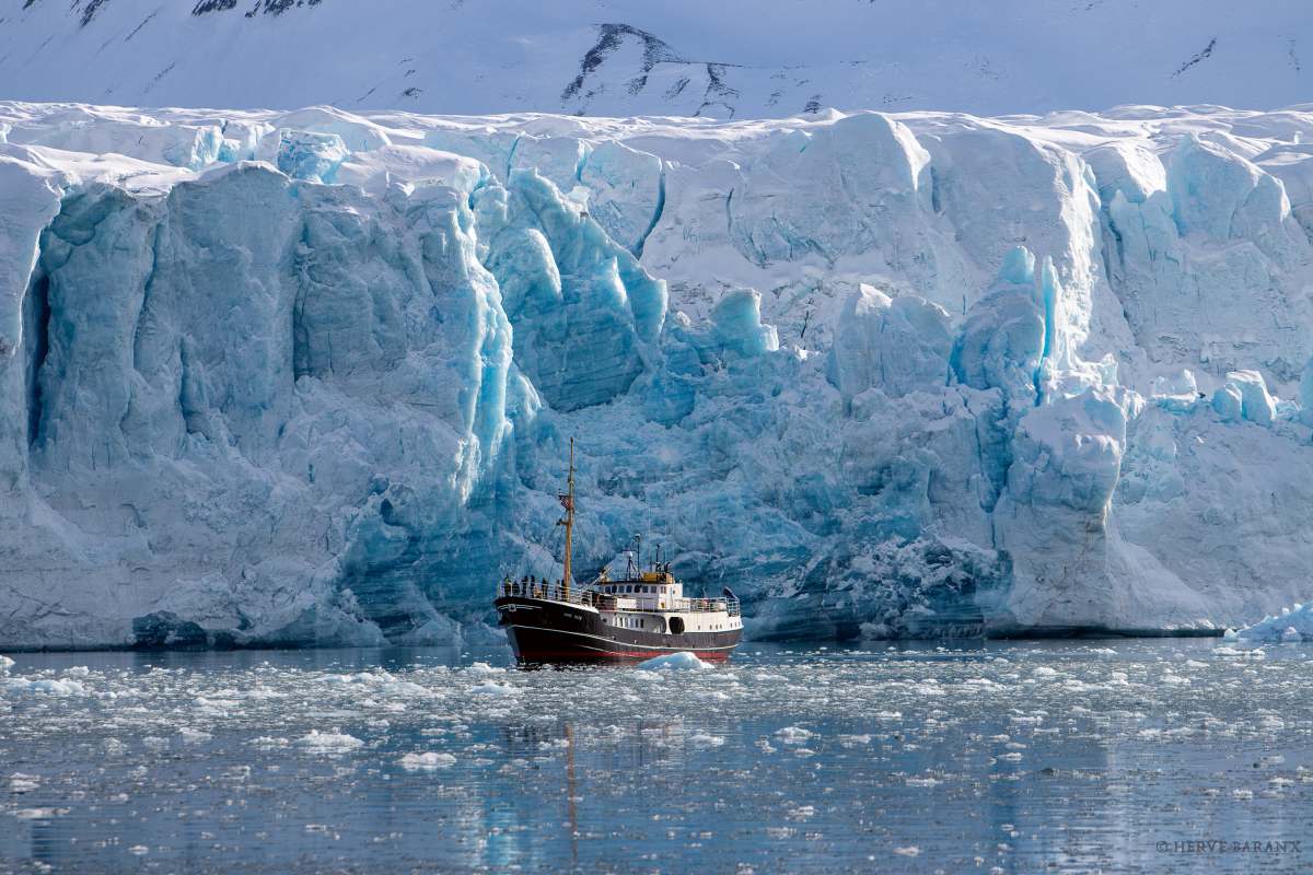VON DEN EISBERGEN ZU DEN GROSSEN GLETSCHERN | CAPE RACE, 2027 - Polar