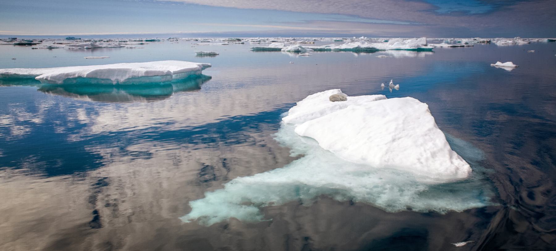 ULTIMATIVES WESTGRÖNLAND TOUR 1: UPERNAVIK - QAANAAQ | CAPE RACE, 2027 - Polar