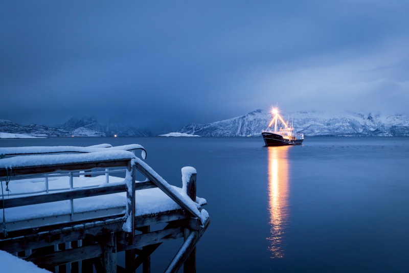 WEIHNACHTEN IM ZAUBER DER NORDLICHTER | CAPE RACE 2027 - Polar