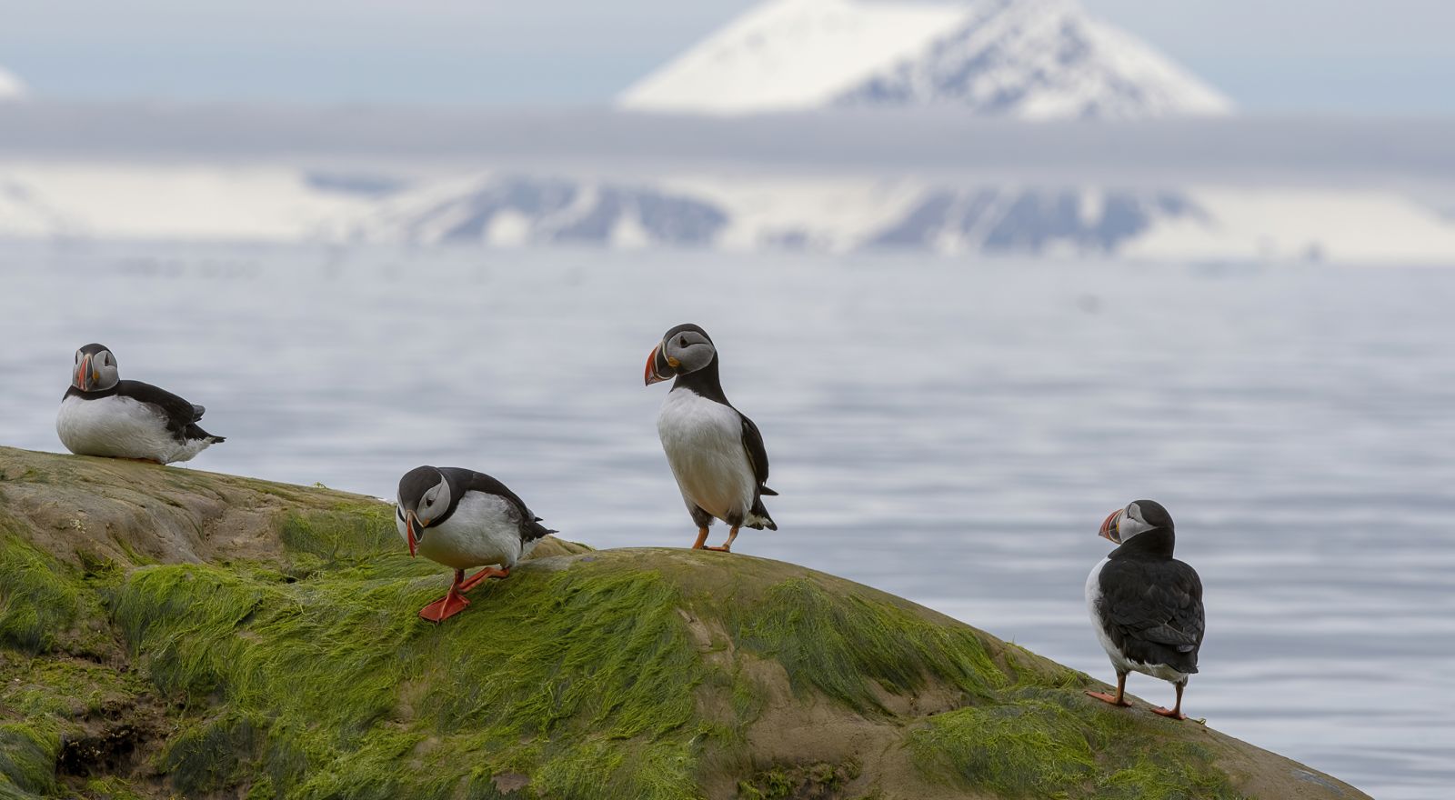 Mit dem Solarsegler \