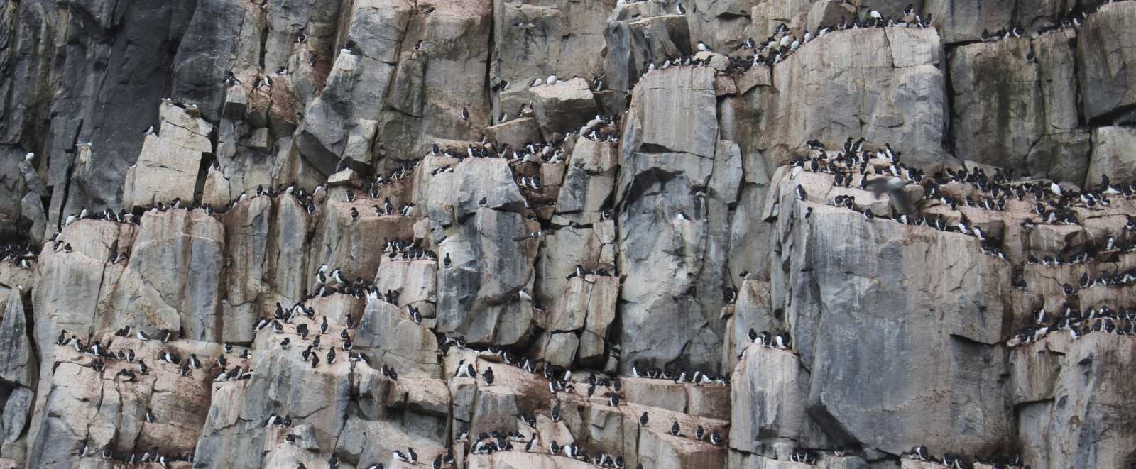 Mit dem Solarsegler \