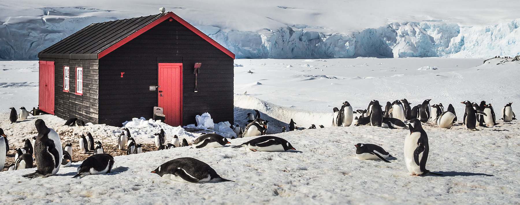 Klassische Antarktis Reise einschließlich Deception-Island | MS HONDIUS - Polar