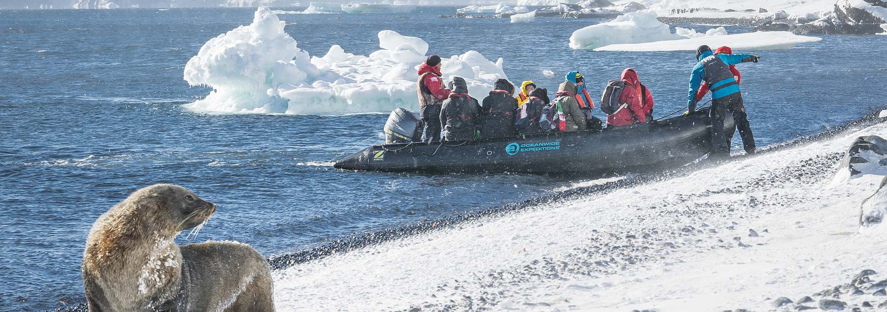 Klassische Antarktis Reise einschließlich Deception-Island | MS HONDIUS - Polar