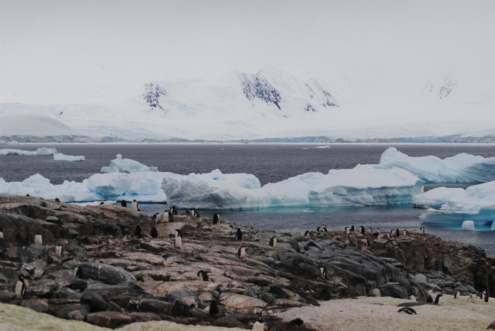 Petermann Island — Foto: Oceanwide Expeditions
