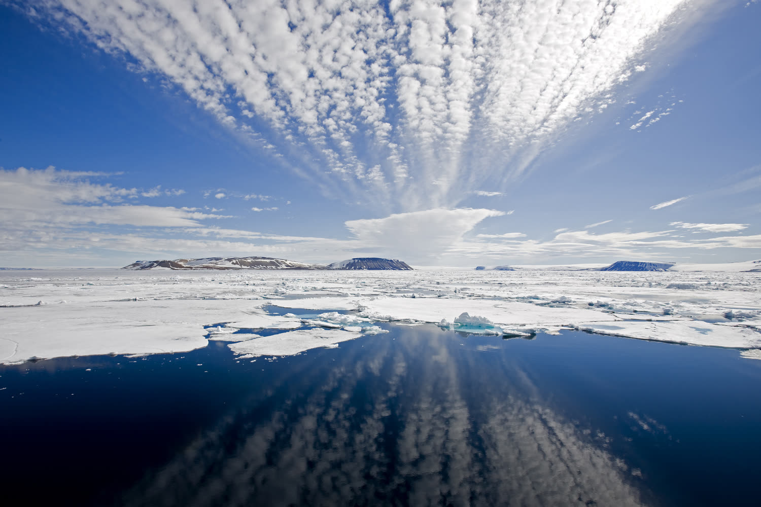 Packeis vor Spitzbergen — Foto: Franco Banfi – Oceanwide Expeditions