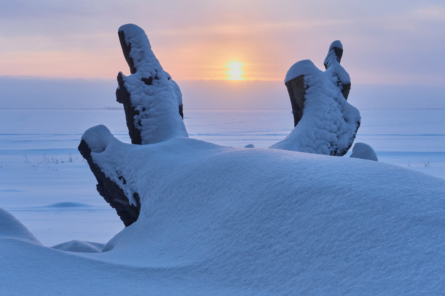 Verschneite Küste im Abendlicht — Foto: Shutterstock