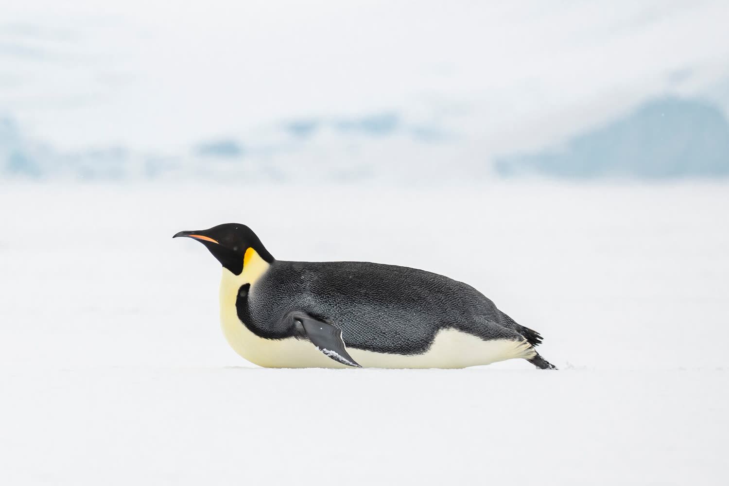 The Gullet — Foto: Studio PONANT / Olivier Blaud