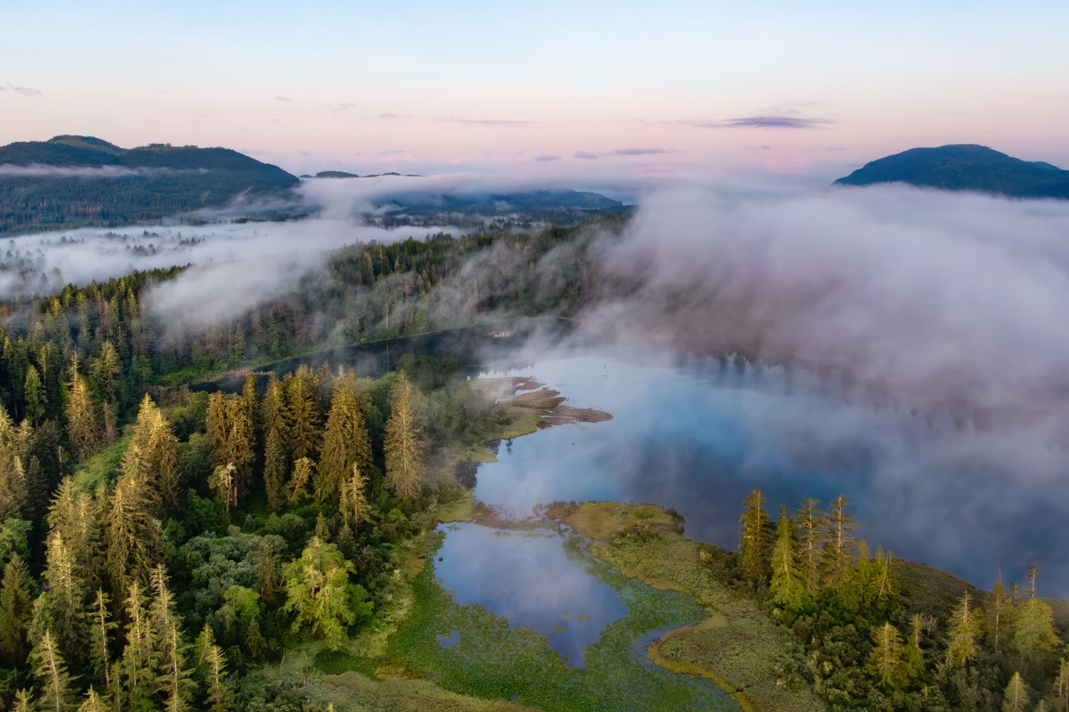 Morgennebel über Wäldern und Wasserläufen — Foto: Shutterstock